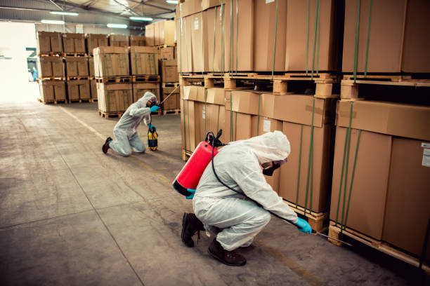 Best Best Pest Control Companies  in South Deerfield, MA