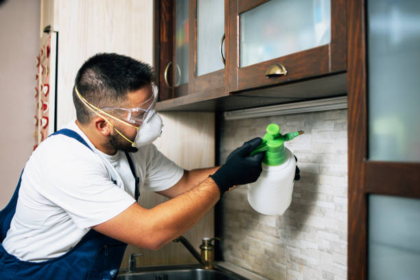 South Deerfield, MA Pest Control Company