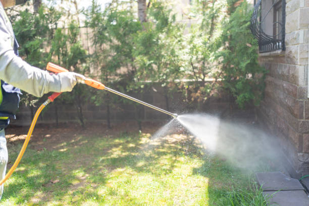 Best Local Pest Control Services  in South Deerfield, MA