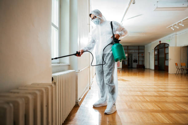 Best Exterminator Services  in South Deerfield, MA