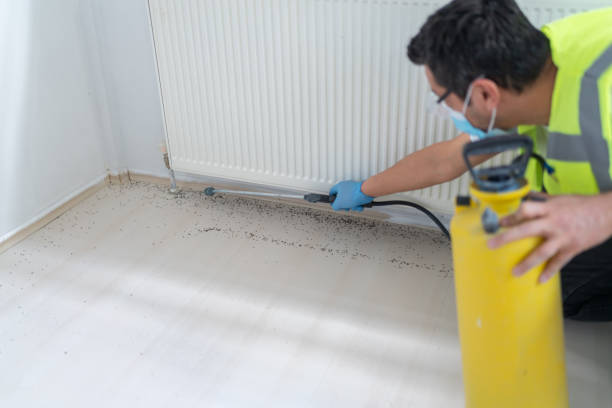 Best Bed Bug Extermination  in South Deerfield, MA